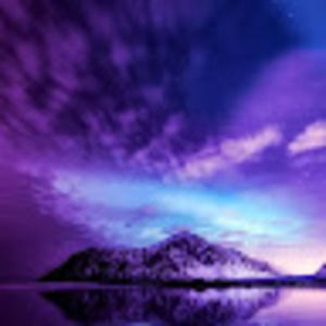 Meet your Posher, Lexi